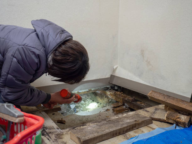 Best Commercial Mold Inspection  in Dunbar, WV