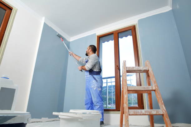 Best Mold Removal for HVAC Installations  in Dunbar, WV