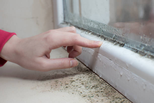 Best Dehumidification Services  in Dunbar, WV