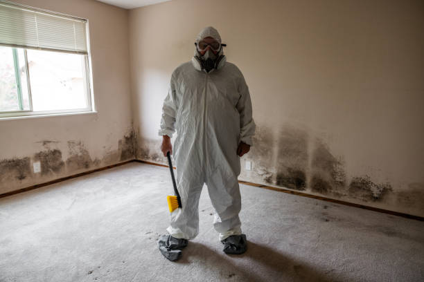 Best Mold Odor Removal Services  in Dunbar, WV