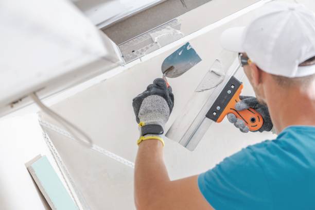 Best Industrial Mold Remediation  in Dunbar, WV